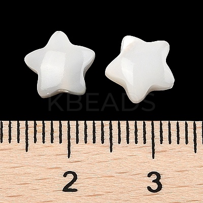 Natural White Shell Beads SSHEL-I026-11-1