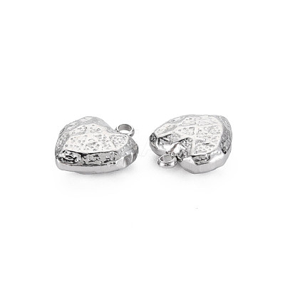Non-Tarnish 304 Stainless Steel Charms STAS-N097-190P-1