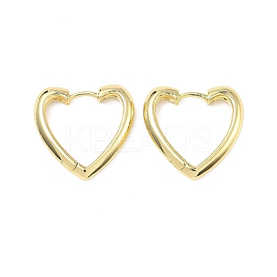 Brass Hoop Earrings EJEW-D323-01G-1