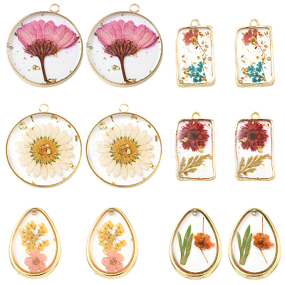 12Pcs 6 Styles Transparent Clear Epoxy Resin Pendants RESI-SC0036-60B-1