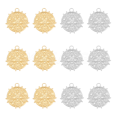 12Pcs 2 Colors Ion Plating(IP) 304 Stainless Steel Pendant STAS-UN0049-75-1