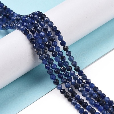 Natural Sodalite Beads Strands X-G-C009-A07-1