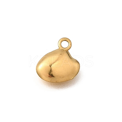 304 Stainless Steel Charms STAS-Z160-10G-03-1