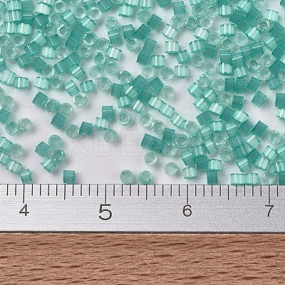 MIYUKI Delica Beads SEED-MY11-DB1812-1