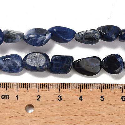 Natural Sodalite Beads Strands G-P497-01E-55-1