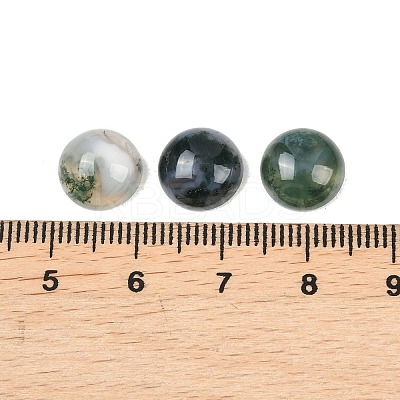 Natural Moss Agate Cabochons G-D367-01A-01-1