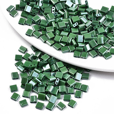 FGB 2-Hole Glass Seed Beads SEED-S031-L-ST127-1