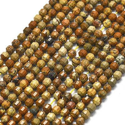 Natural Picture Jasper Beads Strands G-A260-A47-01-1