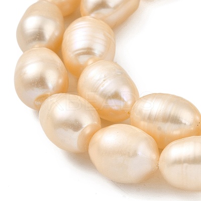 Natural Cultured Freshwater Pearl Beads Strands PEAR-I007-01H-02B-1