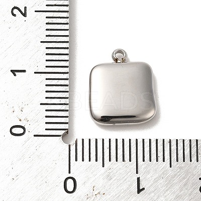 Non-Tarnish 304 Stainless Steel Charms STAS-L022-273P-1