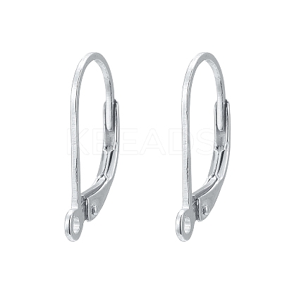 925 Sterling Silver Hoop Earrings STER-P032-06S-1