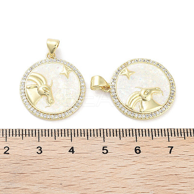 Brass Micro Pave Clear Cubic Zirconia Pendants KK-L213-010G-11-1