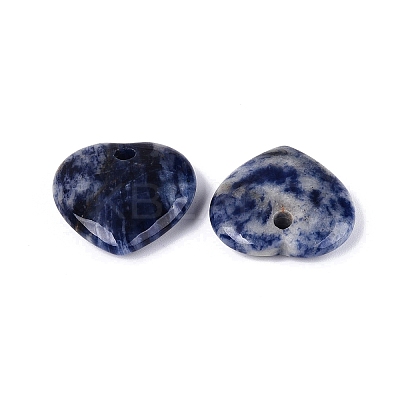 Natural Sodalite Pendants G-Q601-29B-1