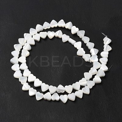 Natural Trochid Shell/Trochus Shell Beads Strands BSHE-E026-19-1