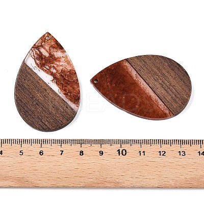 Transparent Resin & Walnut Wood Big Pendants RESI-T058-05D-1