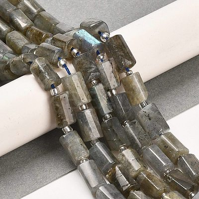 Natural Labradorite Beads Strands G-G068-A10-01-1