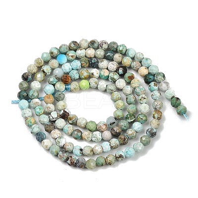 Natural HuBei Turquoise Beads Strands G-L628-B02-3mm-01-1