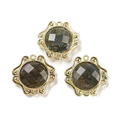 Natural Labradorite Faceted Connector Charms G-M431-09G-02-1