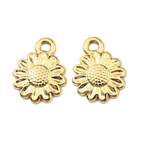 304 Stainless Steel Charms STAS-R124-01G-1
