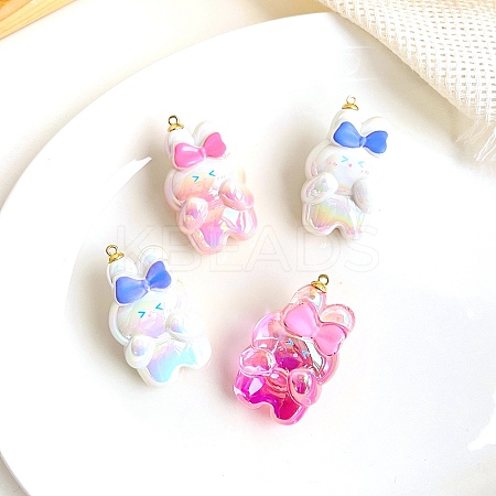 Acrylic Pendants OACR-L016-21-1