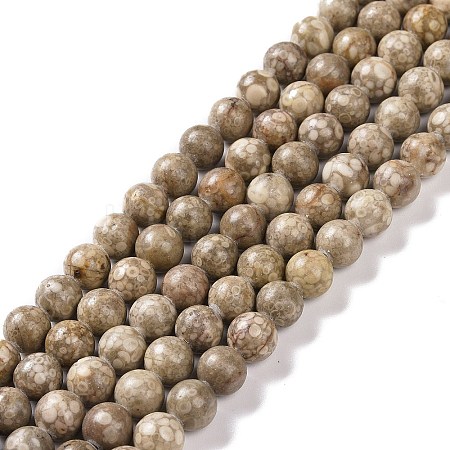 Natural Maifanite/Maifan Stone Beads Strands G-I187-10mm-01-1