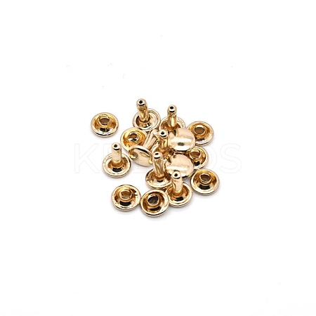 Brass Rivets PW-WG2BECC-19-1