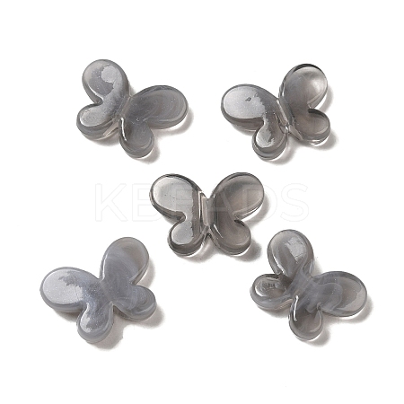 Transparent Acrylic Beads OACR-A021-13D-1