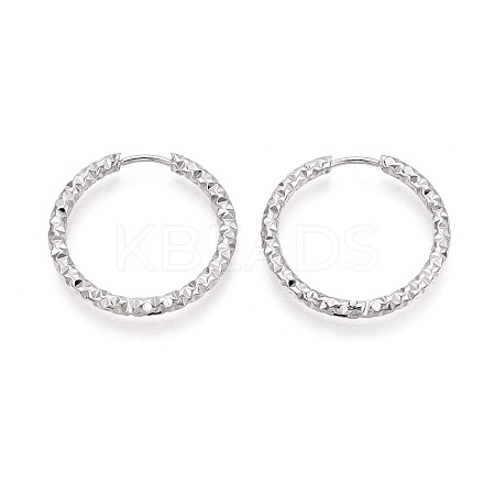 304 Stainless Steel Hoop Earrings STAS-T074-19P-1