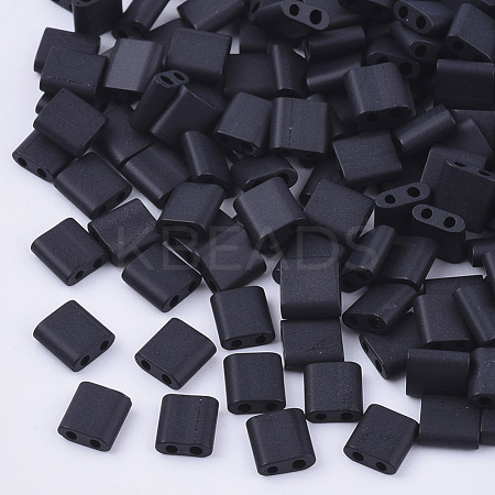 FGB 2-Hole Glass Seed Beads X-SEED-S031-L-049F-1