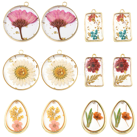 12Pcs 6 Styles Transparent Clear Epoxy Resin Pendants RESI-SC0036-60B-1