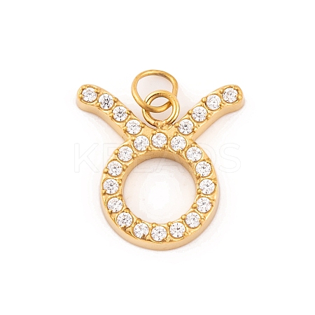 316 Stainless Steel Micro Pave Cubic Zirconia Pendants LS-STAS-K284-01C-G-1
