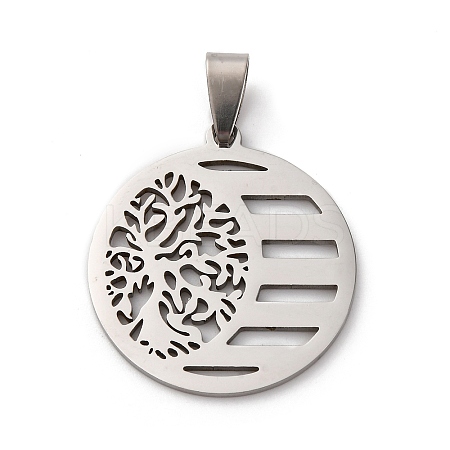 201 Stainless Steel Pendants STAS-V013-08P-1