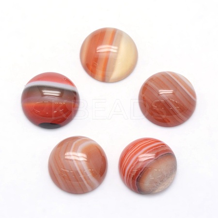 Natural Red Banded Agate Cabochons G-P393-R40-10MM-1