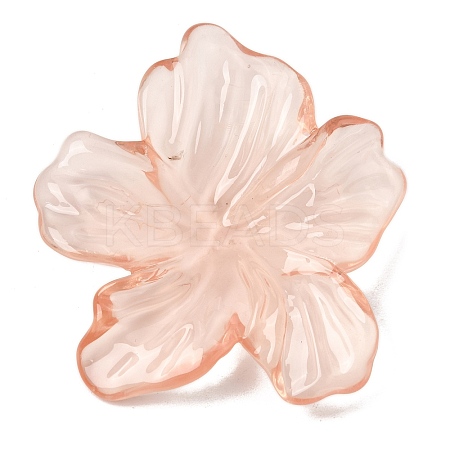 Transparent Resin Cabochons RE-CBAEB2B-01A-1