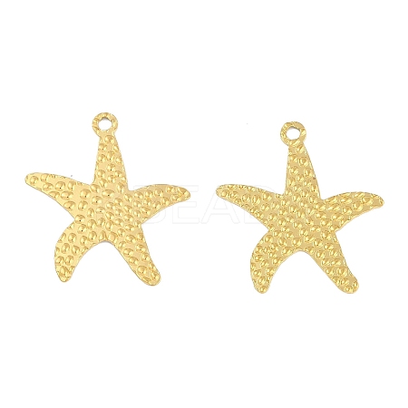 Ion Plating(IP) 304 Stainless Steel Pendants STAS-C106-04G-1
