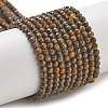 Natural Tiger Iron Beads Strands LS-G-B120-A01-01-2