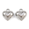304 Stainless Steel Charms STAS-L303-13P-1