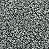 MIYUKI Round Rocailles Beads SEED-G007-RR0194-3