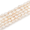 Natural Cultured Freshwater Pearl Beads Strands PEAR-P064-20G-02A-2