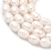 Natural Cultured Freshwater Pearl Beads Strands PEAR-D003-01D-12-4