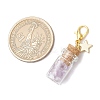 Natural Amethyst Chips inside Glass Wishing Bottle Pendant Decoration HJEW-JM03307-04-3