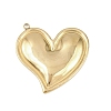 304 Stainless Steel Pendants STAS-Z180-02G-1
