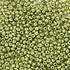 8/0 Glass Seed Beads X-SEED-A017-3mm-1112-2