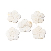 Natural Freshwater Shell Carved Pendants BSHE-S304-14-1