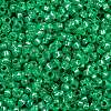 MIYUKI Round Rocailles Beads SEED-X0056-RR0646-3