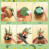 30Pcs Glass Dome Cloche Cover AJEW-BC0002-14A-4