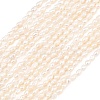 Natural Cultured Freshwater Pearl Beads Strands PEAR-D003-01D-02-2