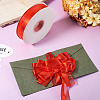 Nylon Ribbons OCOR-TAC0023-11D-7