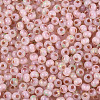 6/0 Glass Seed Beads SEED-N008-07I-3