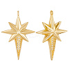 10Pcs Brass Micro Pave Cubic Zirconia Pendants KK-BBC0018-47-6